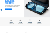 WordPress Developer