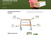 WordPress Developer