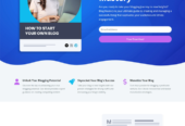WordPress Developer