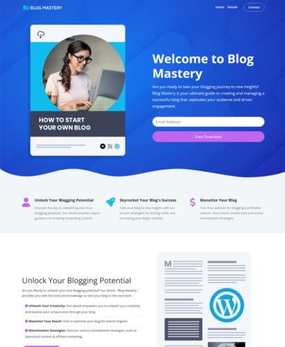 WordPress Developer